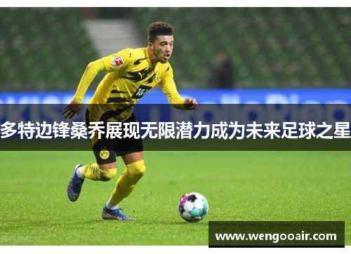 多特边锋桑乔展现无限潜力成为未来足球之星 多特边锋桑乔展现无限潜力成为未来足球之星