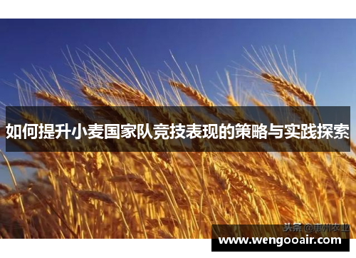 如何提升小麦国家队竞技表现的策略与实践探索 如何提升小麦国家队竞技表现的策略与实践探索
