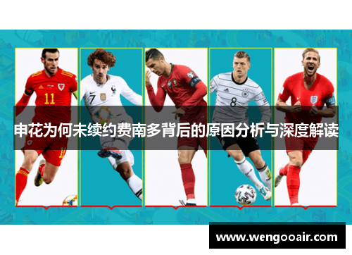 申花为何未续约费南多背后的原因分析与深度解读