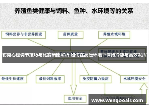 布克心理调节技巧与比赛策略解析 如何在高压环境下保持冷静与高效发挥 布克心理调节技巧与比赛策略解析 如何在高压环境下保持冷静与高效发挥