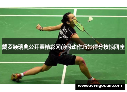 戴资颖瑞典公开赛精彩网前假动作巧妙得分技惊四座