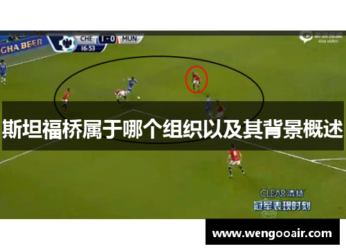 斯坦福桥属于哪个组织以及其背景概述